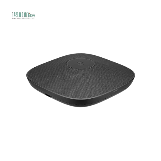 Poly A2
